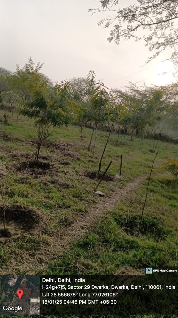 Compensatory Afforestation